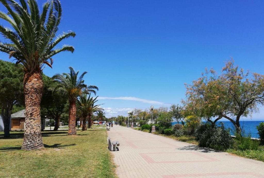 Joli Studio Cabine 4 Personnes A 300 M De La Plage Аржель-сюр-Мер Экстерьер фото
